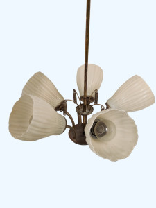 IMG_20240418_150556-Photoroom.png-Photoroom.jpeg