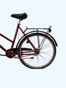 IMG_20240508_110236-Photoroom.png-Photoroom.jpeg