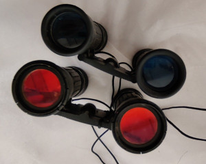 IMG_20250411_121750.jpg