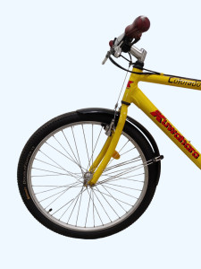 IMG_20240508_110622-Photoroom.png-Photoroom.jpeg